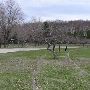 Orchard Beach State Park