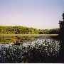 Legacy Land Conservancy