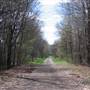 Fort Custer Recreation Area