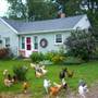 Lewis Farm Cottage