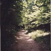 Saugatuck State Park