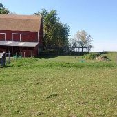 Manchester Horse farms