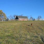 Brown Farm