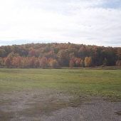 Alanson Open Land