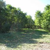 Lillie Property