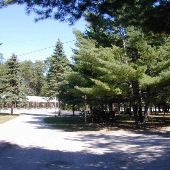 Woodland Motor Lodge