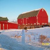 Haeussler Farm