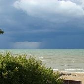 Caseville Shoreline