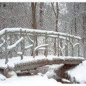 Hillsdale College Arboretum