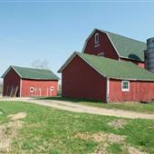 Bemis Farm