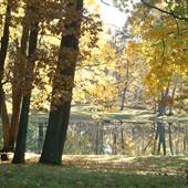 10 Acres with Pond