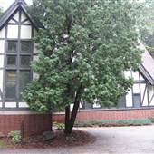 Aquinas Bukowski Chapel