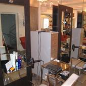 Luigi Bruni Salon