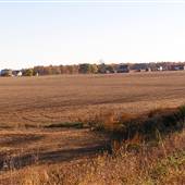 Farm 1