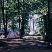 Alcona Canoe Rental & Campground