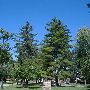 Albion College