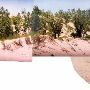 Warren Dunes State Park