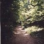 Saugatuck State Park