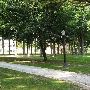 Hillsdale College