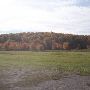 Alanson Open Land