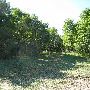 Lillie Property