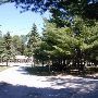 Woodland Motor Lodge