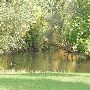 Shiawassee River