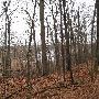 Bald Mountain State Park