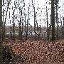 Bald Mountain State Park