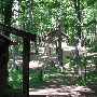 Bald Mountain State Park