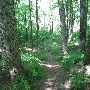 Bald Mountain State Park