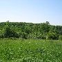 Bald Mountain State Park