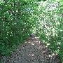 Bald Mountain State Park