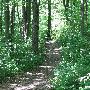 Bald Mountain State Park