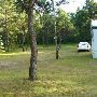Grayling Forest Land and Trailer