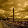 Bradleyville Road