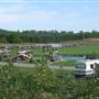 Wild Cherry Resort