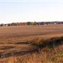 Farm 1
