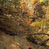Dowagiac River