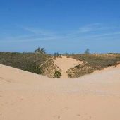 Sleeping Bear Dunes