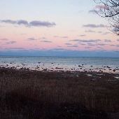 Harbor Beach Shoreline