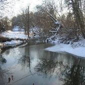 Livonia River