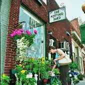 Potting Shed