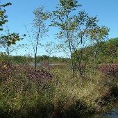 Bald Mountain State Park