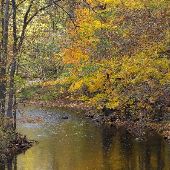 Wolcott Mill and Metro Park