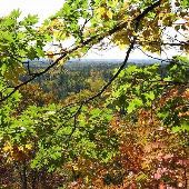 Pigeon River Country
