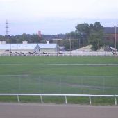 Jackson Harness Raceway