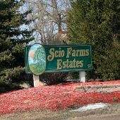Scio Estates