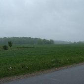 West Branch Wheat Fields