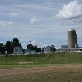 MOO-ville Dairy Farm and Creamery